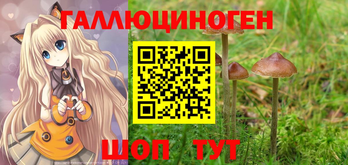 Псилоцибиновые грибы мицелий  Галлюциногенные грибы Psilocybine cubensis  Полысаево  Вход с VPN 